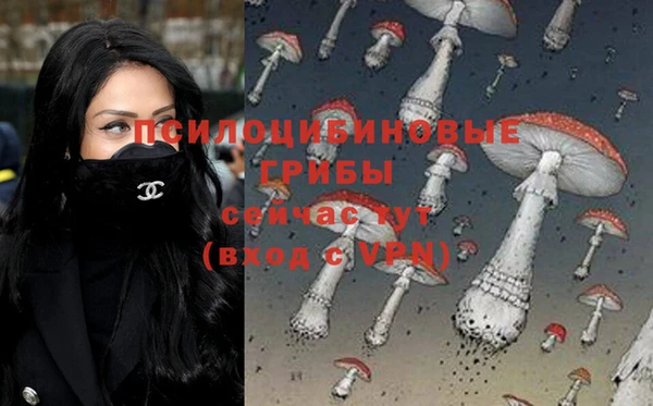 трава Мегион