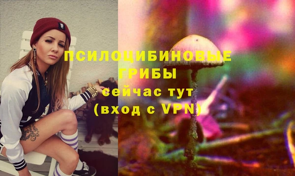 соль курить ск Медвежьегорск