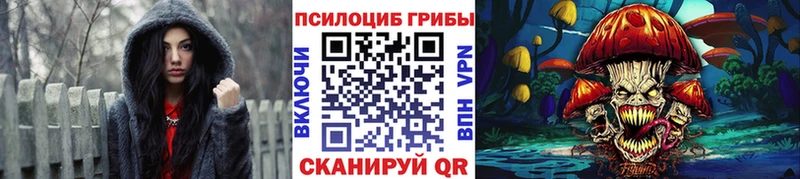 купить наркоту  Хилок  мориарти как зайти  Галлюциногенные грибы GOLDEN TEACHER 